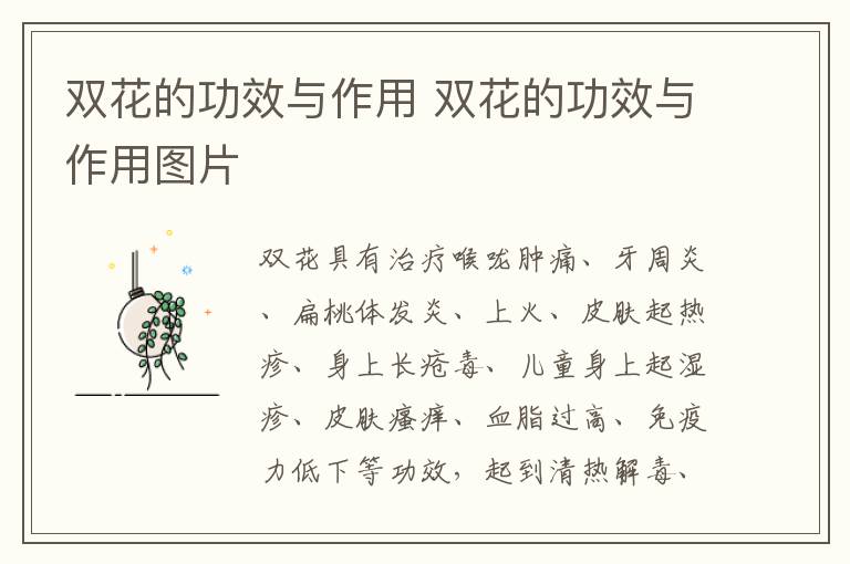 双花的功效与作用 双花的功效与作用图片