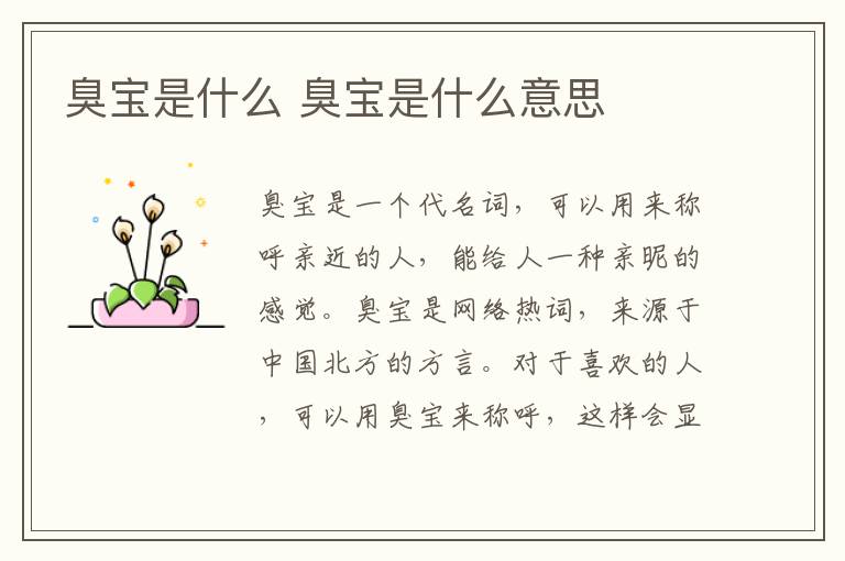 臭宝是什么 臭宝是什么意思
