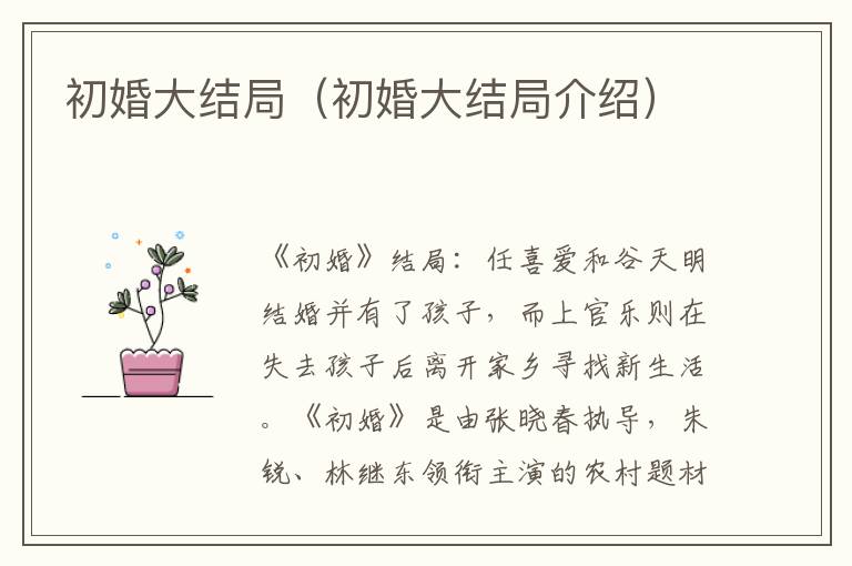 初婚大结局（初婚大结局介绍）