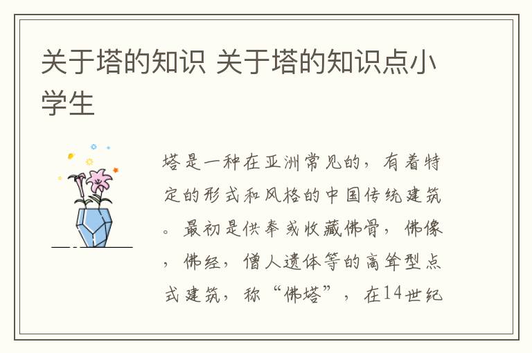 关于塔的知识 关于塔的知识点小学生