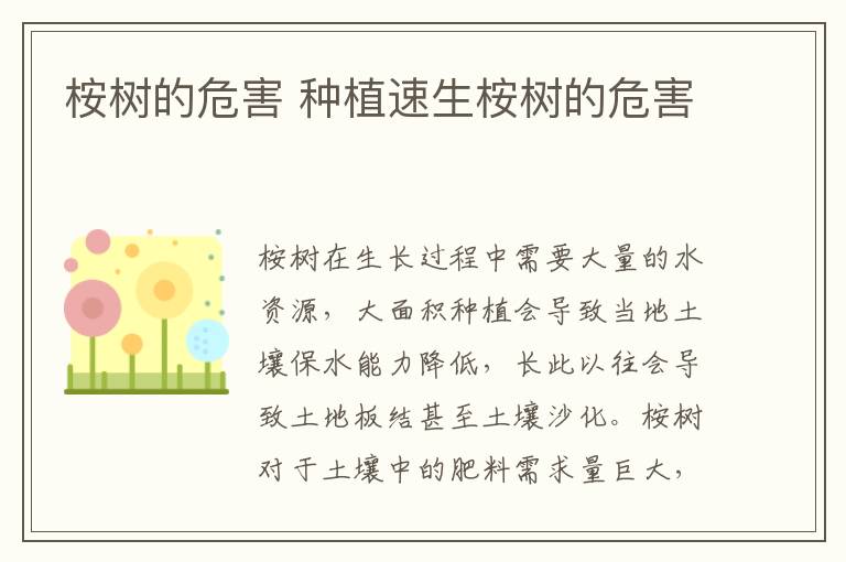 桉树的危害 种植速生桉树的危害