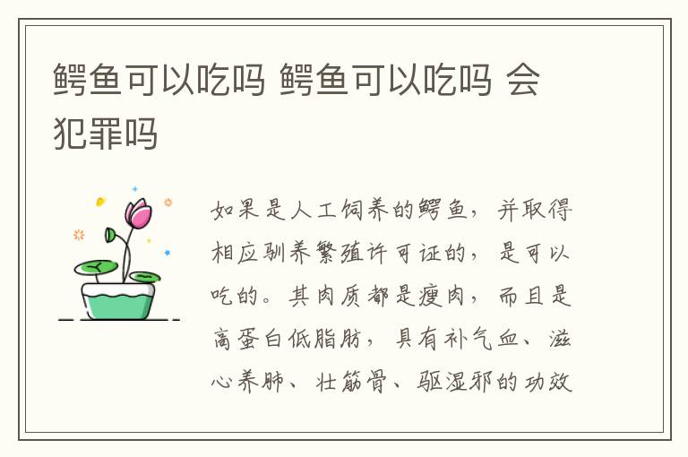 鳄鱼可以吃吗 鳄鱼可以吃吗 会犯罪吗
