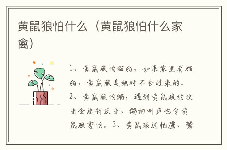 黄鼠狼怕什么（黄鼠狼怕什么家禽）