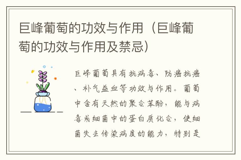 巨峰葡萄的功效与作用（巨峰葡萄的功效与作用及禁忌）