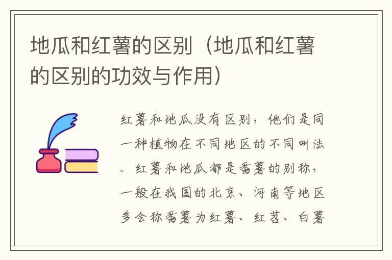 地瓜和红薯的区别（地瓜和红薯的区别的功效与作用）