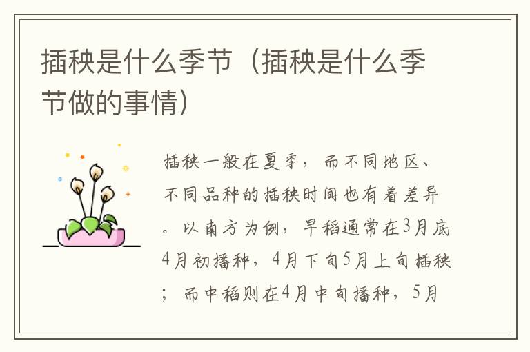 插秧是什么季节（插秧是什么季节做的事情）