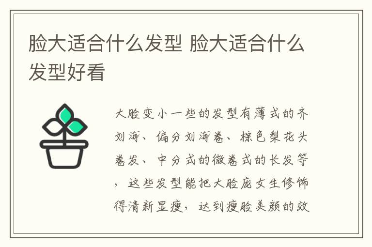 脸大适合什么发型 脸大适合什么发型好看