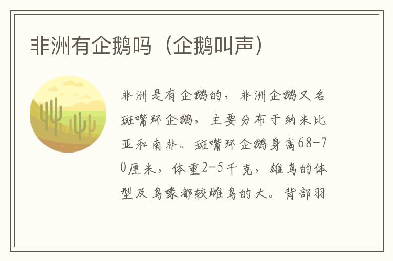 非洲有企鹅吗（企鹅叫声）