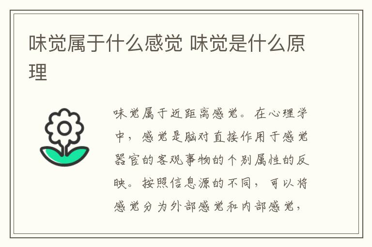 味觉属于什么感觉 味觉是什么原理