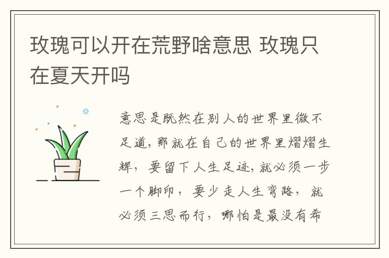 玫瑰可以开在荒野啥意思 玫瑰只在夏天开吗