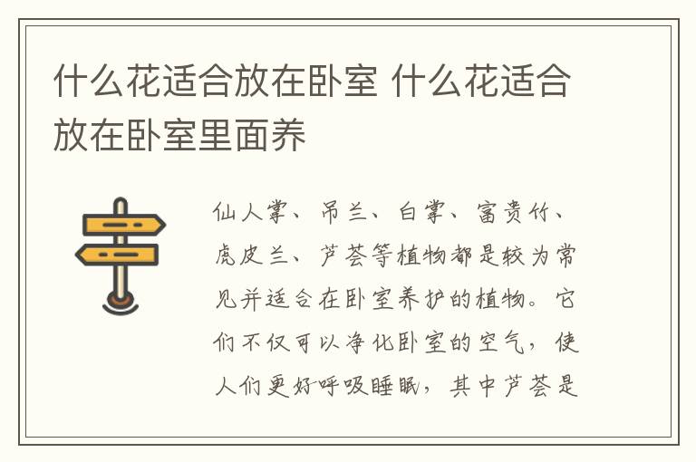 什么花适合放在卧室 什么花适合放在卧室里面养