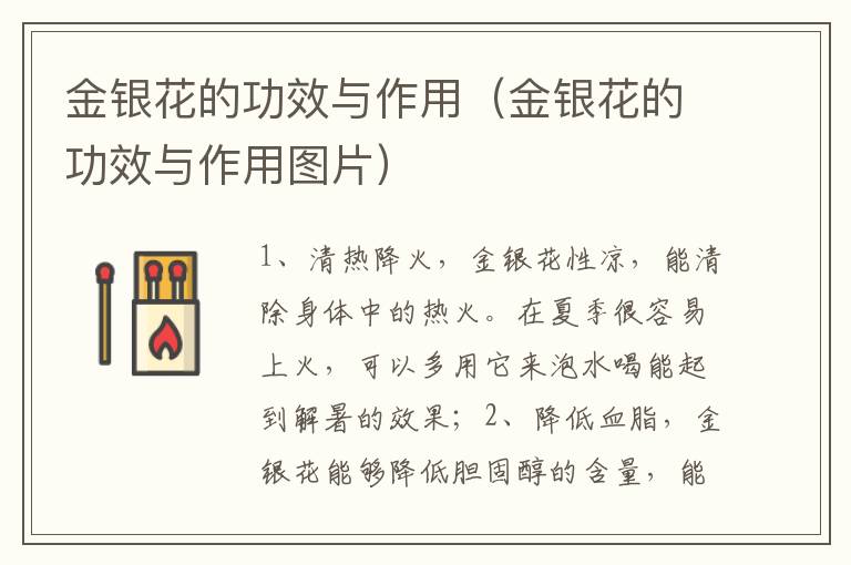 金银花的功效与作用（金银花的功效与作用图片）