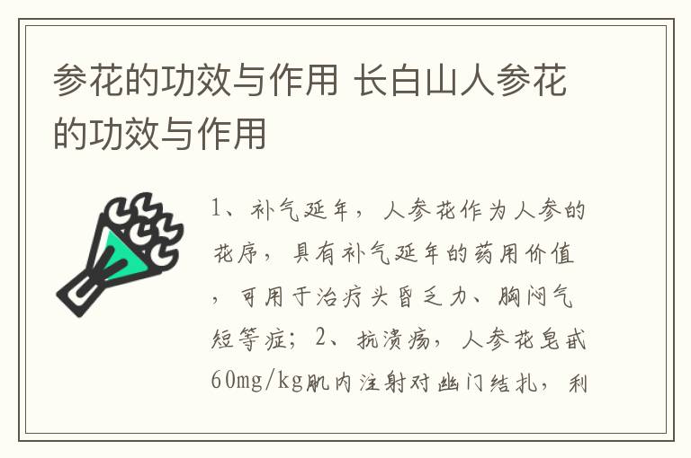 参花的功效与作用 长白山人参花的功效与作用