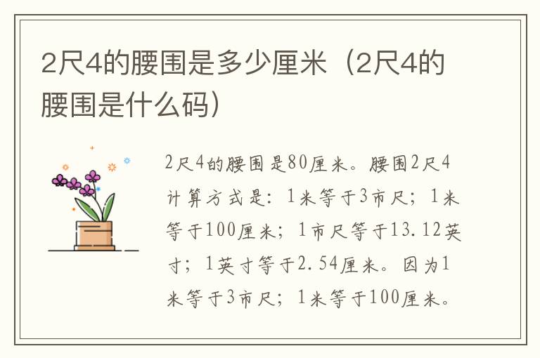 2尺4的腰围是多少厘米（2尺4的腰围是什么码）