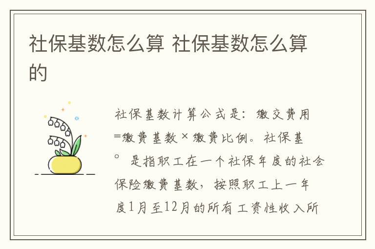 社保基数怎么算 社保基数怎么算的