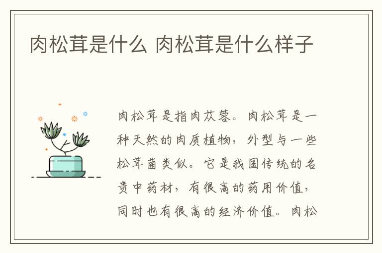 肉松茸是什么 肉松茸是什么样子