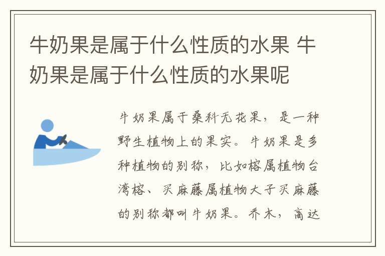 牛奶果是属于什么性质的水果 牛奶果是属于什么性质的水果呢