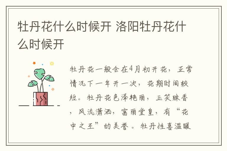 牡丹花什么时候开 洛阳牡丹花什么时候开