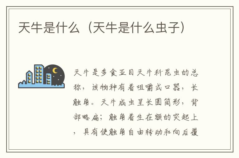 天牛是什么（天牛是什么虫子）