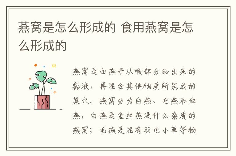 燕窝是怎么形成的 食用燕窝是怎么形成的