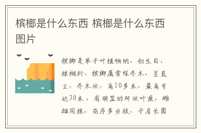 槟榔是什么东西 槟榔是什么东西图片