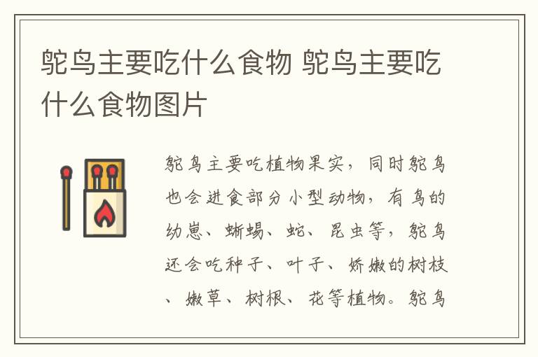 鸵鸟主要吃什么食物 鸵鸟主要吃什么食物图片