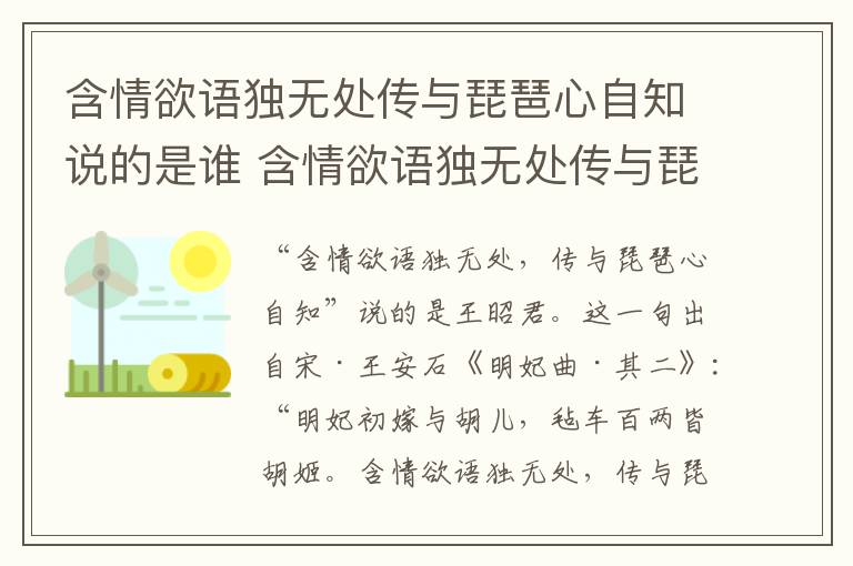 含情欲语独无处传与琵琶心自知说的是谁 含情欲语独无处传与琵琶心自知写的什么人