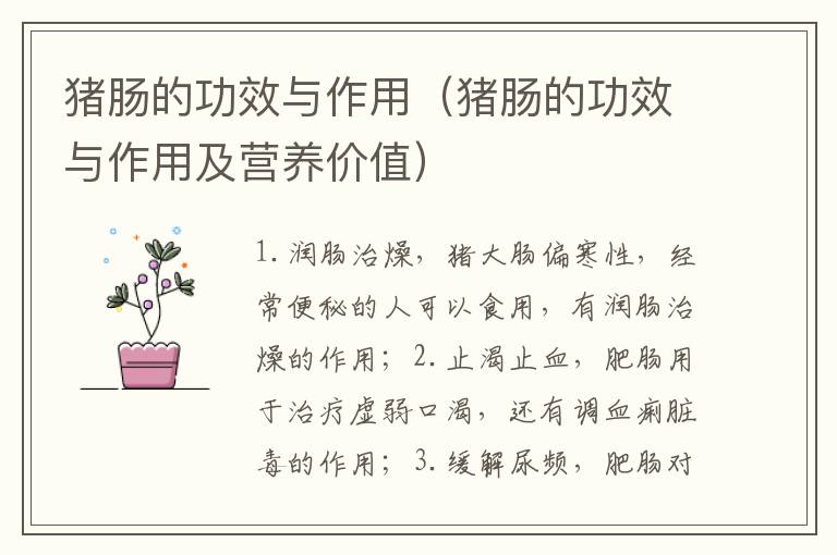 猪肠的功效与作用（猪肠的功效与作用及营养价值）