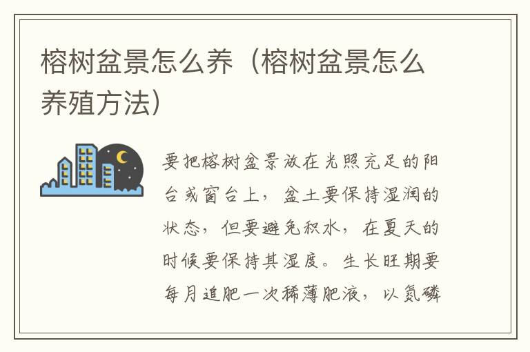 榕树盆景怎么养（榕树盆景怎么养殖方法）