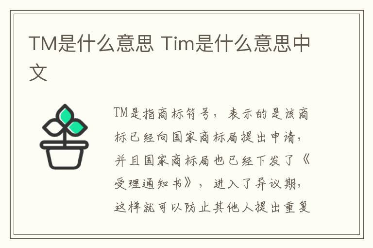TM是什么意思 Tim是什么意思中文