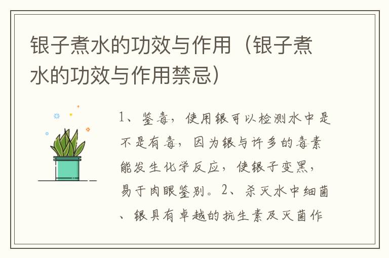 银子煮水的功效与作用（银子煮水的功效与作用禁忌）