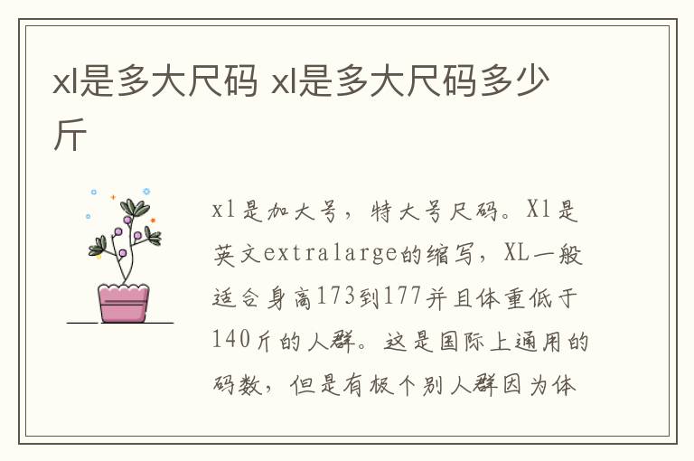xl是多大尺码 xl是多大尺码多少斤