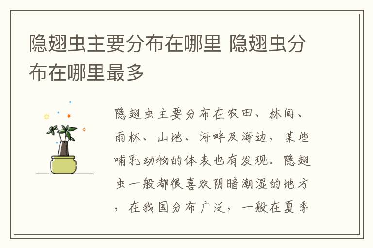 隐翅虫主要分布在哪里 隐翅虫分布在哪里最多