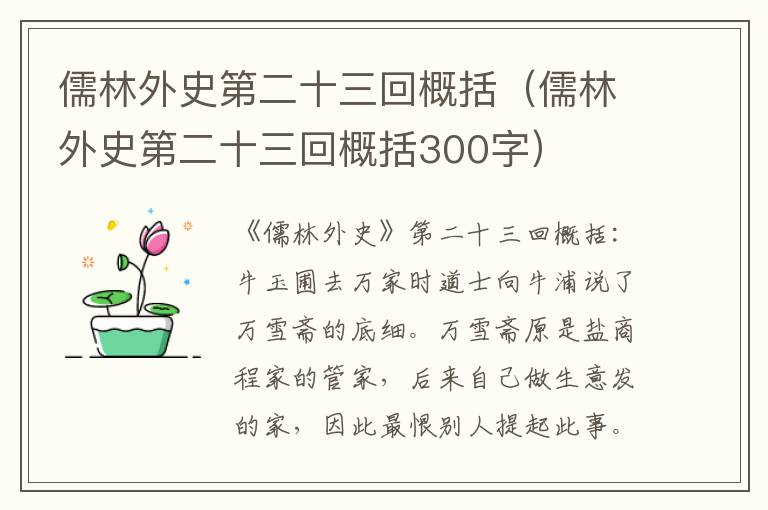 儒林外史第二十三回概括（儒林外史第二十三回概括300字）