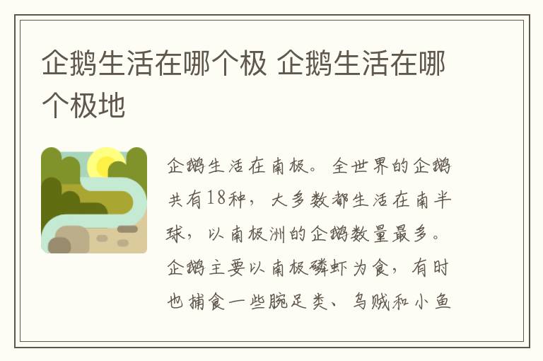 企鹅生活在哪个极 企鹅生活在哪个极地