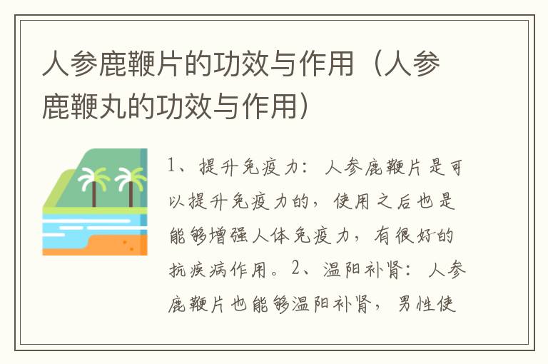 人参鹿鞭片的功效与作用（人参鹿鞭丸的功效与作用）