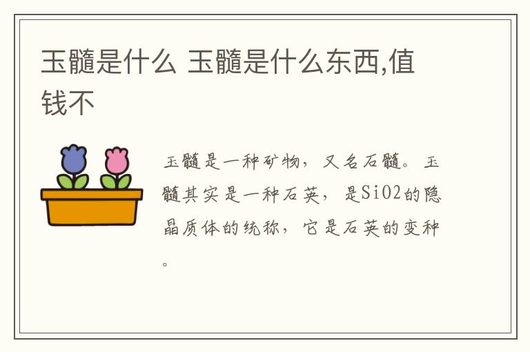 玉髓是什么 玉髓是什么东西,值钱不
