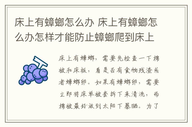 床上有蟑螂怎么办 床上有蟑螂怎么办怎样才能防止蟑螂爬到床上