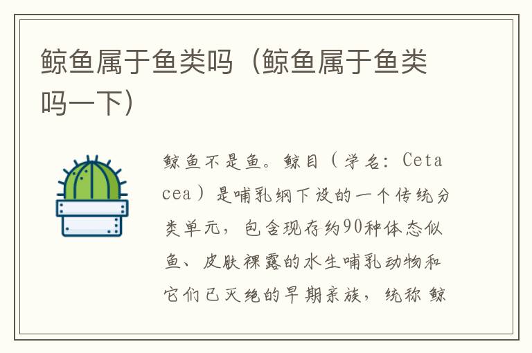 鲸鱼属于鱼类吗（鲸鱼属于鱼类吗一下）