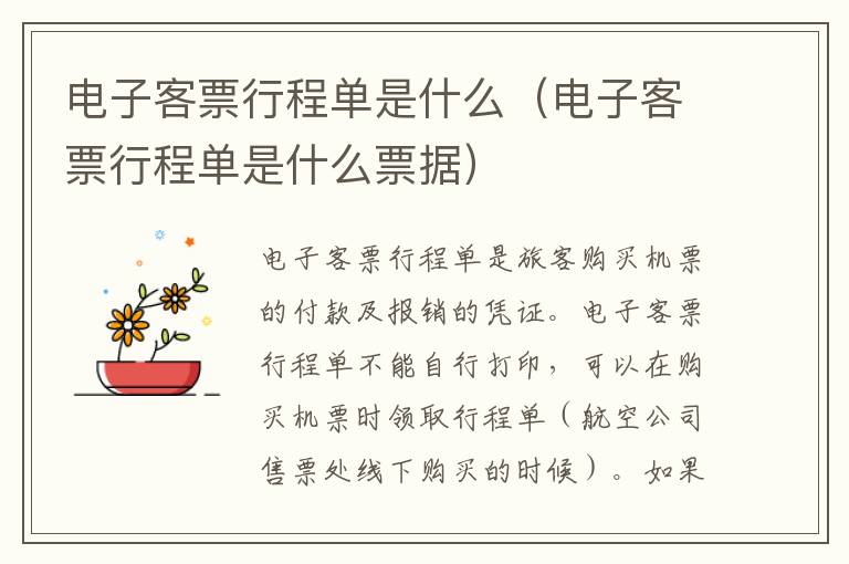 电子客票行程单是什么（电子客票行程单是什么票据）