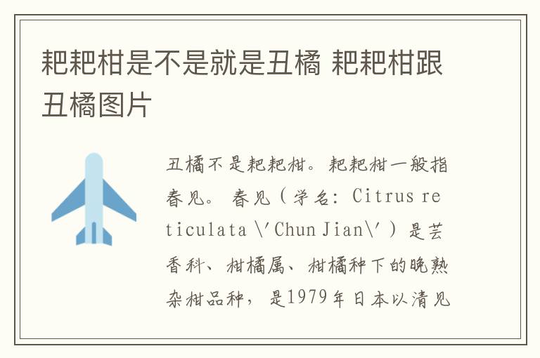 耙耙柑是不是就是丑橘 耙耙柑跟丑橘图片