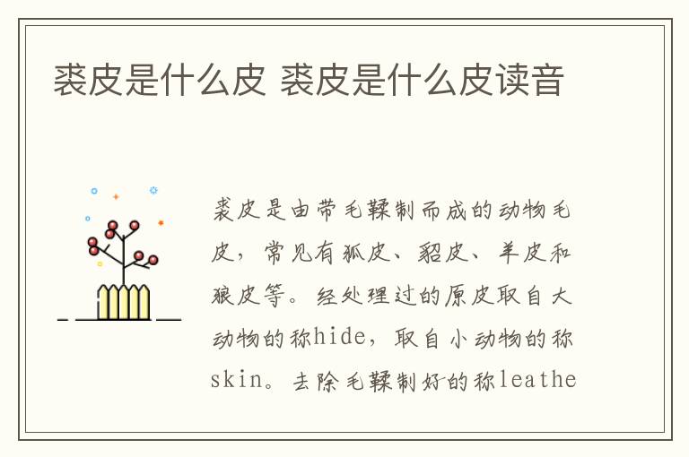 裘皮是什么皮 裘皮是什么皮读音