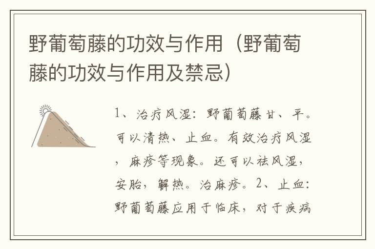 野葡萄藤的功效与作用（野葡萄藤的功效与作用及禁忌）