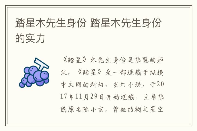 踏星木先生身份 踏星木先生身份的实力