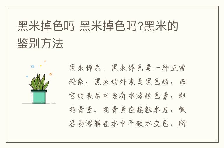 黑米掉色吗 黑米掉色吗?黑米的鉴别方法