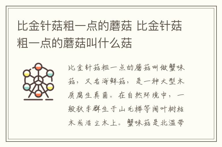 比金针菇粗一点的蘑菇 比金针菇粗一点的蘑菇叫什么菇