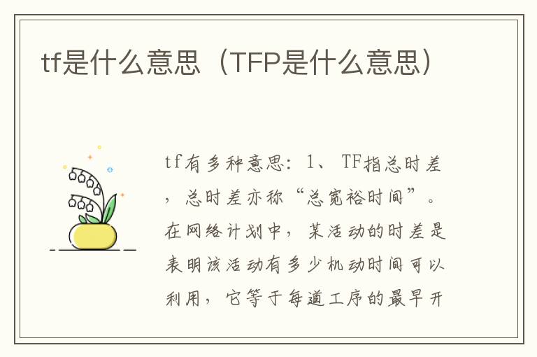 tf是什么意思（TFP是什么意思）