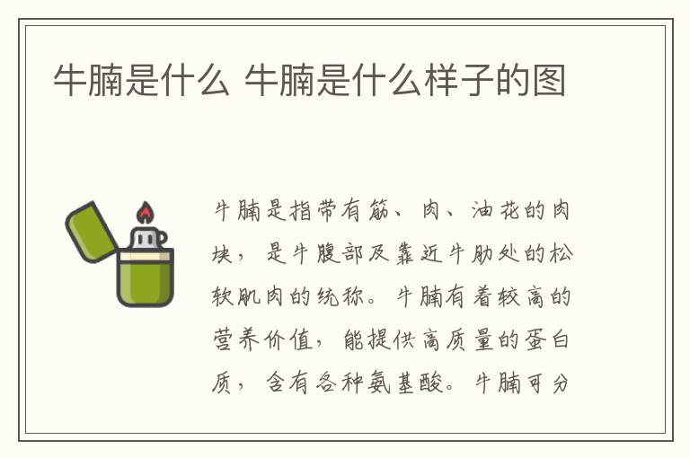 牛腩是什么 牛腩是什么样子的图
