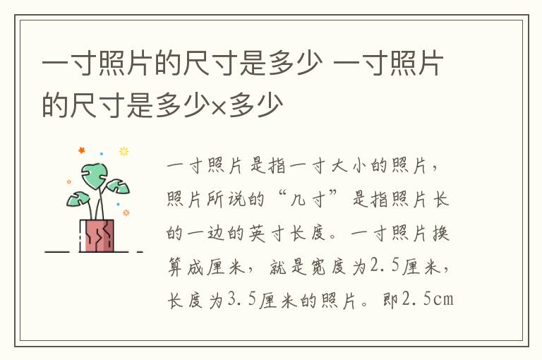 一寸照片的尺寸是多少 一寸照片的尺寸是多少×多少