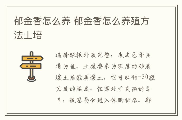 郁金香怎么养 郁金香怎么养殖方法土培